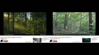 Cryptids and Monsters (NEWS):  Some FANTASTIC Bigfoot audio captured in Georgia?!!!