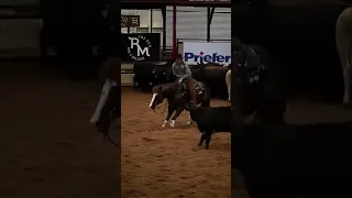 🤠 Bold Cowboy Steals the Show: Cutting Horse Competition Highlights 🐎🔥Horse Whispers, Horse videos,