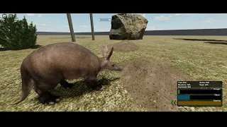 Wild Savanna: Aardvark, Scent, Swimming and More