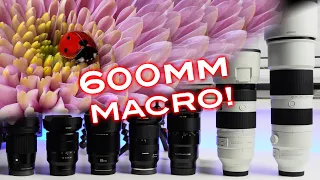 Extreme Macro Photography with Regular Lenses