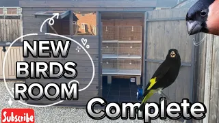 New Birds Room completed now