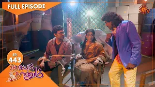 Abiyum Naanum - Ep 443 | 04 April 2022 | Tamil Serial | Sun TV