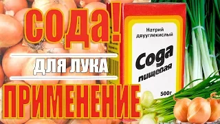 СОДА! ПРИМЕНЕНИЕ СОДЫ ПРИ ПОСАДКЕ ЛУКА! СУПЕР СПОСОБ!