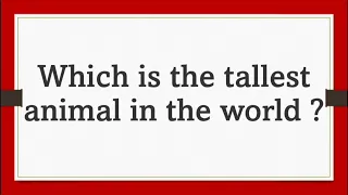 Which is the tallest animal in the world?/general knowledge/gk