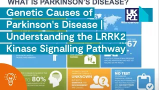 Genetic Causes of Parkinson's Disease | Understanding the LRRK2 Kinase Signalling Pathway