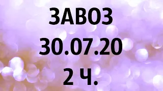 🌸Продажа орхидей. ( Завоз 30. 07. 20 г.) 2 ч. Отправка только по Украине. ЗАМЕЧТАТЕЛЬНЫЕ КРАСОТКИ👍