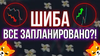 РОСТ ШИБА ИНУ БЫЛ ИЗ-ЗА ЭТОГО! И БУДЕТ ДАЛЬШЕ! И ВОТ ПОЧЕМУ ЖЕ!