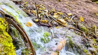 Sounds of a Forest Stream Without Birds. 3 Hours of Nature Sound for Sleep and Relaxation.