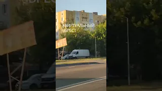 Лосёнок бегает по Бресту