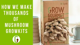 Making Mushroom Grow Kits [A Look Behind The Scenes] | GroCycle