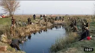 Необычные случаи на рыбалке 🤯😂😍 #рыбалка #shorts #fishing #рыба