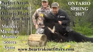 Black Bear Archery hunt in Ontario Canada with Bear Trak Outfitters PERFECT SHOT PLACEMENT POV