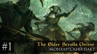 Прохождение Elder Scrolls Online. Эбонхартский пакт: Часть #1. Остров Унылых Камней