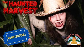 The Haunted Harvest Corn Maze at Frosty's Forest 2023