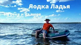Лодка ПВХ. Ловля Рапана в Чёрном море. Дельфины. Рыбалка.
