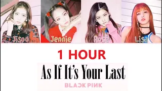 BLACKPINK as if it's your last 1hour / 블랙핑크 마지막처럼 1시간 / ブラックピンク as if it's your last 1時間耐久