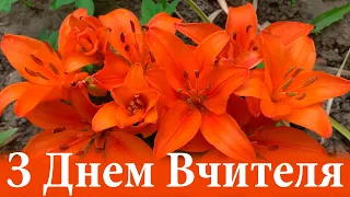 День Вчителя! З Днем Вчителя привітання! Вітання з Днем Працівників Освіти! Вітання з Днем Вчителя