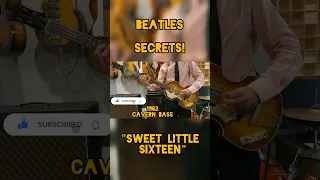 Sweet Little Sixteen isolated bass! #thebeatles #beatlesgear #hofner