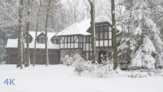 Heavy Winter Snow Storm in Toronto Area Beautiful Cozy Homes in Forest, Winter Ambience Snow sound