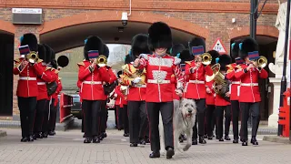 Changing the guard in Windsor (5/4/2023)