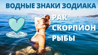 ВОДНЫЕ ЗНАКИ ЗОДИАКА. РАК, СКОРПИОН, РЫБЫ. Любовь, освобождение, интуиция. Ведическая астрология.