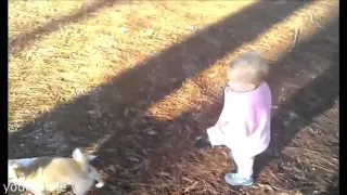 ДЕТИ ПРИКОЛЫ 2015 Маленькие детки выгуливают собак
