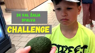 CHALLENGE 24 val tik ŽALIA spalva. Valgom tik žalią maistą. Žali rūbai. Maljorka