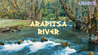 Arapitsa River - Relaxing River Sounds | HD Nature Video - Water Stream with Birdsongs Sounds