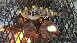 Roasting Brown Trout and Steak Over an Open Fire! (Trout Catch n' Cook)