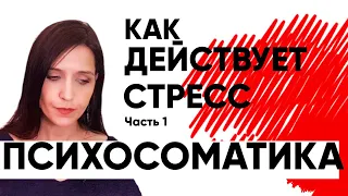 ПСИХОСОМАТИКА –  ЭТО ЛОЖЬ? Как стресс вызывает болезни. Часть 1.