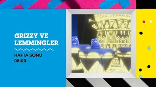 GRIZZY VE LEMMINGLER | HAFTA SONU 08.00 | Cartoon Network Türkiye