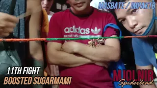 MJOLNIR SPIDERLOAD | G fight Gagamba digmaan derby pinas | Boosted Sugarmami