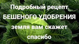 🔥БЕШЕНОЕ удобрение для Осенней Обработки Земли🔥Фузариоз всюду