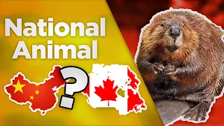 National Animal Quiz #2 | Which country's national animal is this?