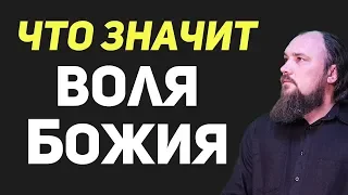 Что значит "Воля Божья"? Священник Максим Каскун