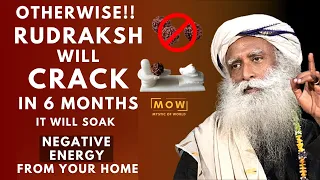 MUST DO THIS!! It Will Soak Negative Energy & Rudraksha Will Crack Up In 6 Months || Sadhguru || MOW