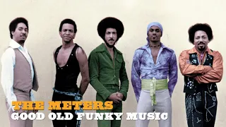 Meters - Good Old Funky Music