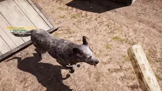 Far Cry 5. Спасение Бумера. Хороший пёс