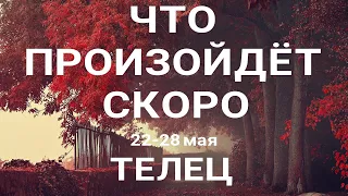 ТЕЛЕЦ🍀 Прогноз на неделю (22-28 мая 2023). Расклад от ТАТЬЯНЫ КЛЕВЕР. Клевер таро.