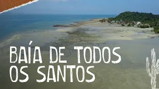 Uma viagem inesquecível pela Baía de Todos os Santos, na Bahia!