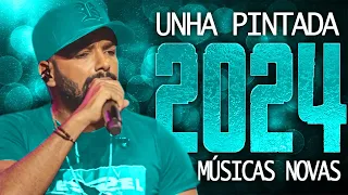 UNHA PINTADA 2024 ( 12 MÚSICA NOVAS ) CD NOVO - REPERTÓRIO ATUALIZADO