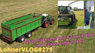 LohnerVLOG#271 Gras häckseln mit Fendt Favorit 818 /Strautmann Aperion und Claas Jaguar 980 Häcksler