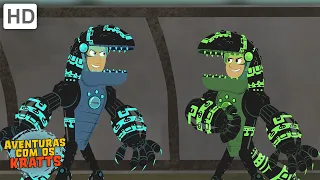 Cada transformação de poder de criatura Parte 13 | Aventuras com os Kratts