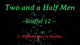 Two and a half men ~Staffel 12~ F 5 - 8  ,tonspur , einschlafen