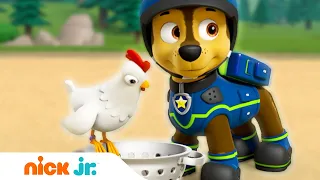 Щенячий патруль | Щенки спасают золото | Nick Jr. Россия