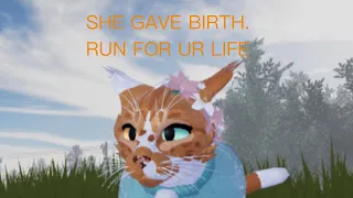 When a Luna gives birth… (roblox warrior cats ultimate edition)