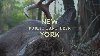 Spot and Stalk Archery Hunt - Buck Down! - New York Public Land Buck