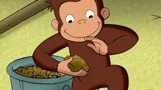 Curious George 🐵The Truth About George's Burger 🐵Kids Cartoon 🐵 Kids Movies 🐵Videos for Kids