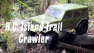 Axial Scx6 Jeep Rubicon trail crawling through lower Wetfoot.