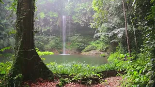 ⭕️ Music for focus: rain and thunder | Alpha waves